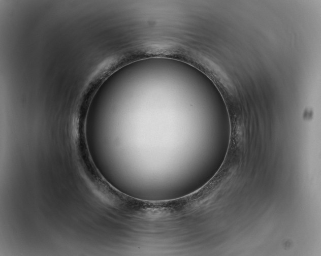 X0000103160686200808221355