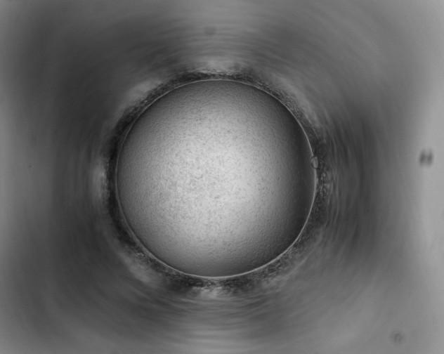 X0000103160688200808221355