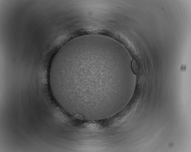 X0000103160689200808221355