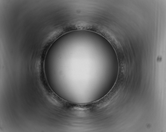 X0000103160690200808221355