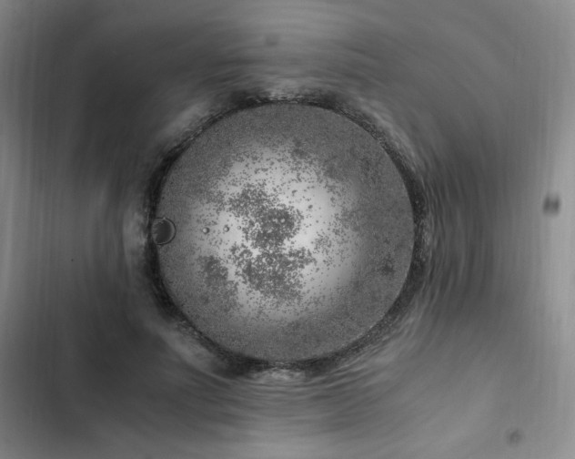 X0000103160691200808221355