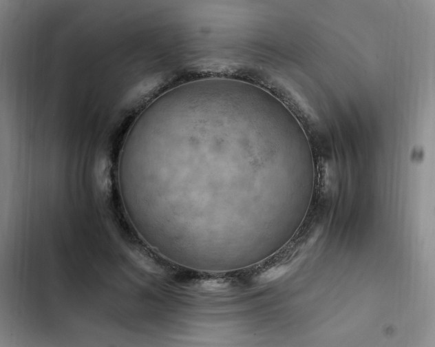 X0000103160692200808221355