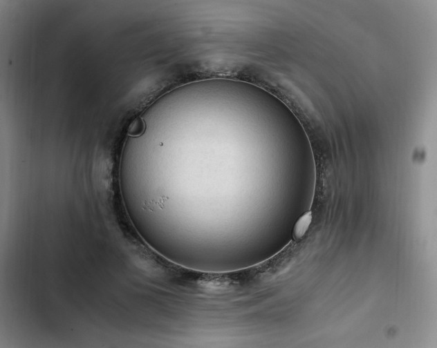 X0000103160693200808221355