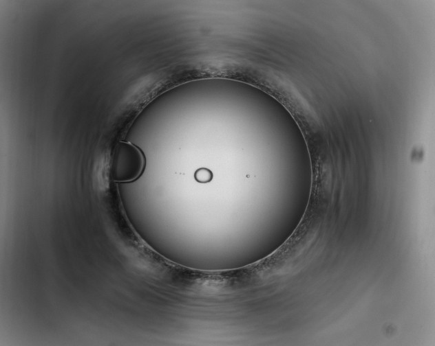 X0000103160694200808221355