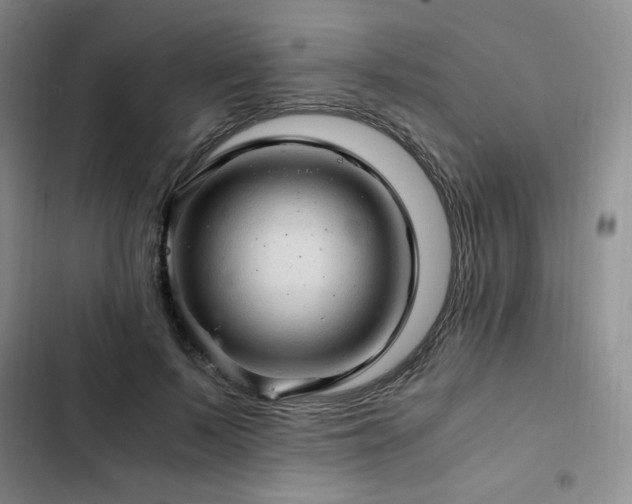 X0000103160695200808221355