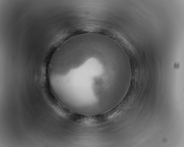 X0000103160696200808221355