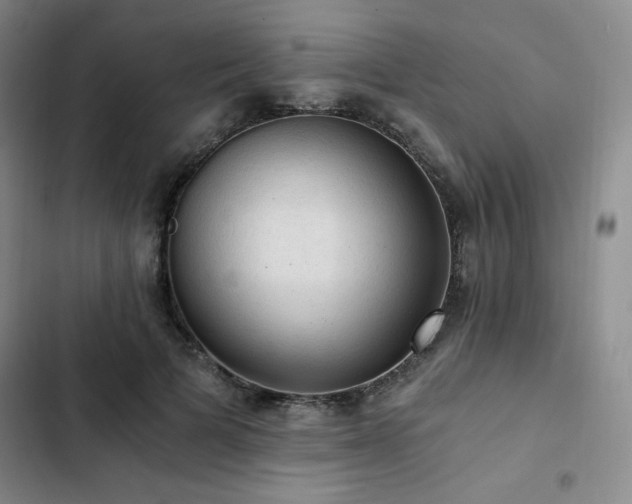 X0000103160697200808221355