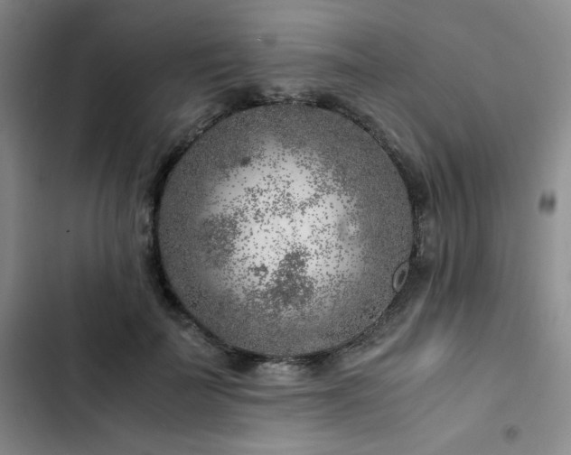 X0000103160699200808221355