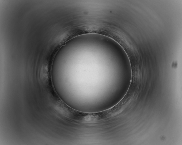 X0000103160700200808221355