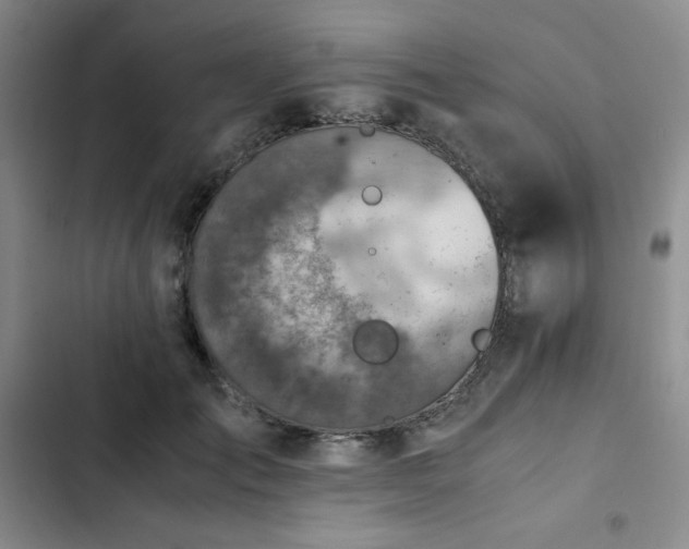 X0000103160701200808221355