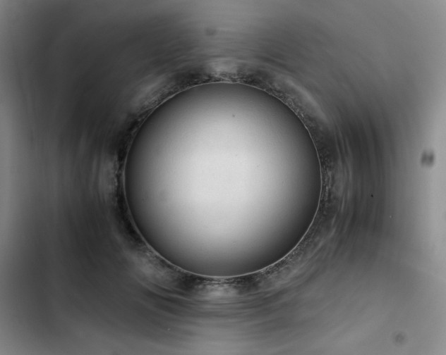 X0000103160702200808221354