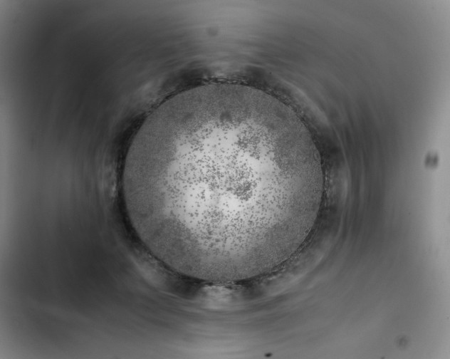 X0000103160703200808221354