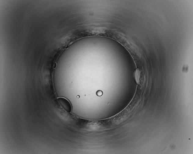 X0000103160704200808221354