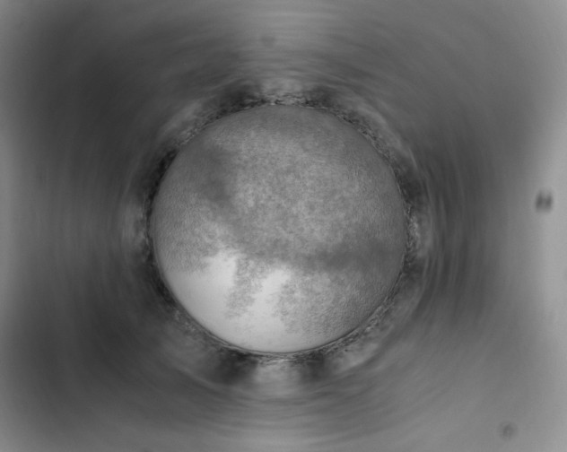 X0000103160705200808221354