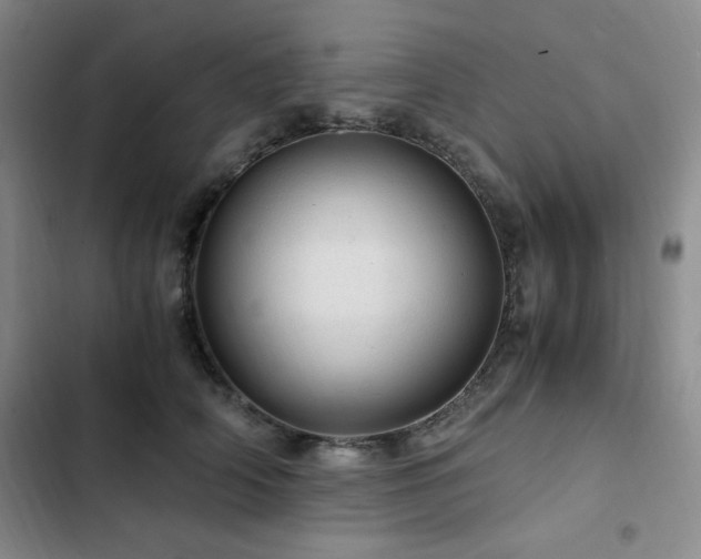 X0000103160706200808221354