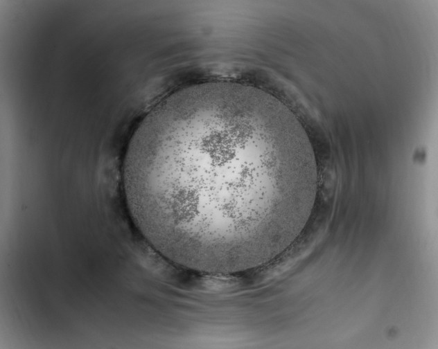 X0000103160707200808221354