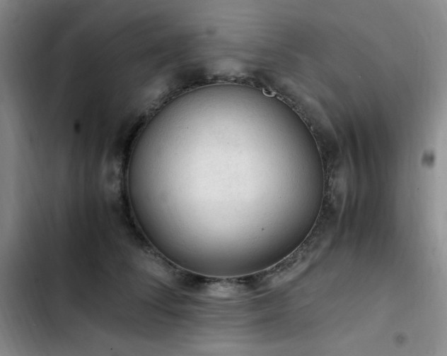 X0000103160708200808221354