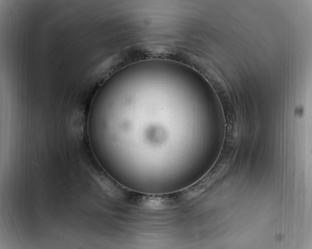 X0000103160710200808221354