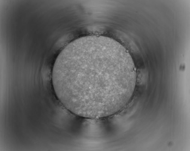X0000103160713200808221354