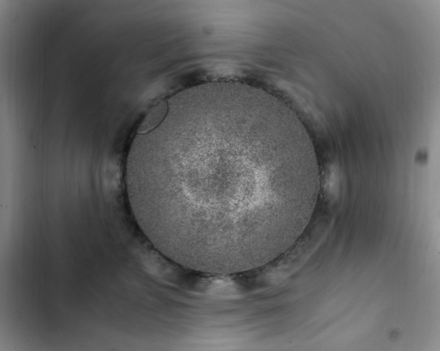 X0000103160715200808221354
