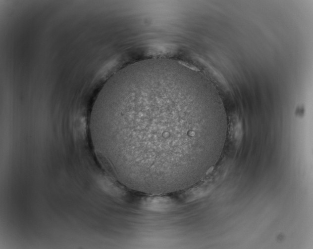 X0000103160716200808221354