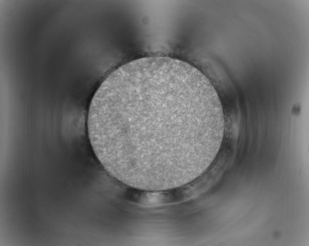 X0000103160717200808221354