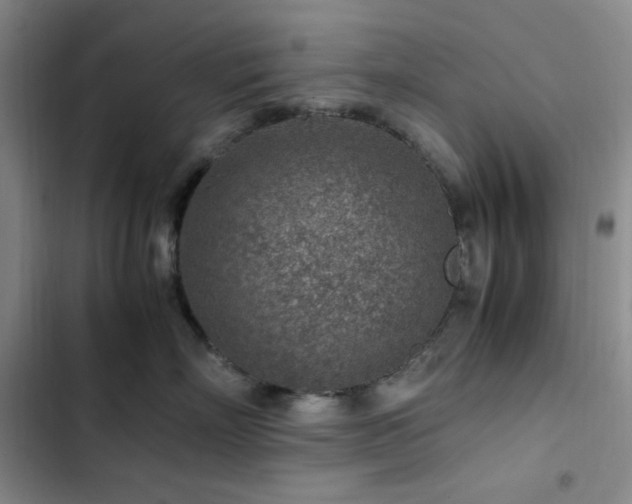 X0000103160718200808221354