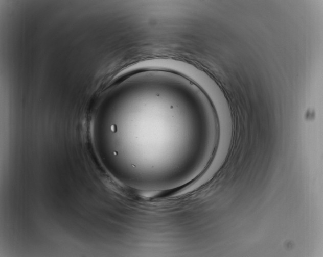 X0000103160720200808221354