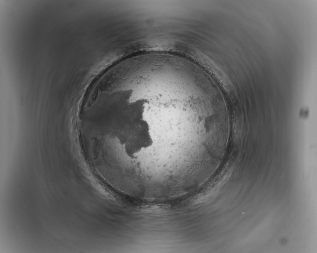 X0000103160721200808221353