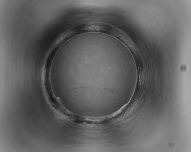 X0000103160722200808221353