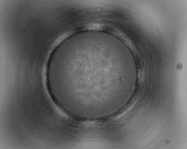 X0000103160725200808221353