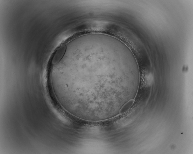 X0000103160726200808221353