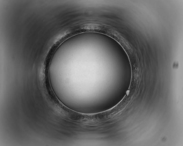 X0000103160727200808221353