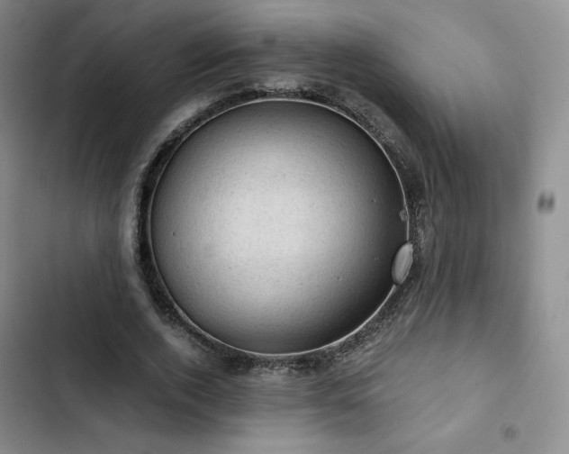 X0000103160728200808221354