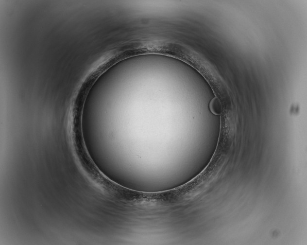 X0000103160730200808221354
