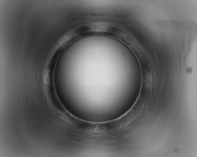 X0000103160731200808221354