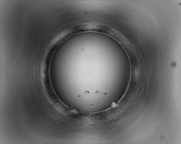 X0000103160732200808221354