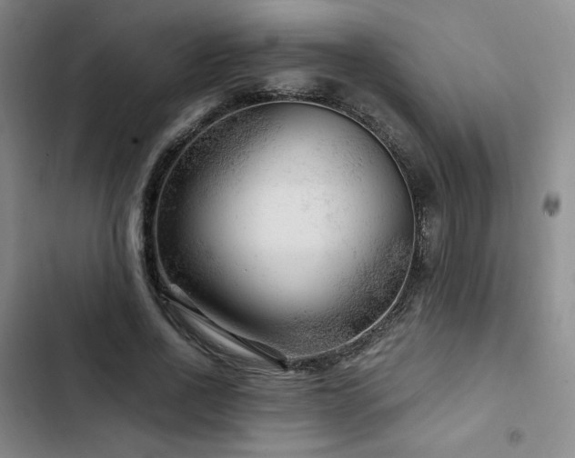 X0000103160734200808221354