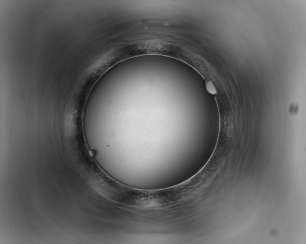 X0000103160735200808221354