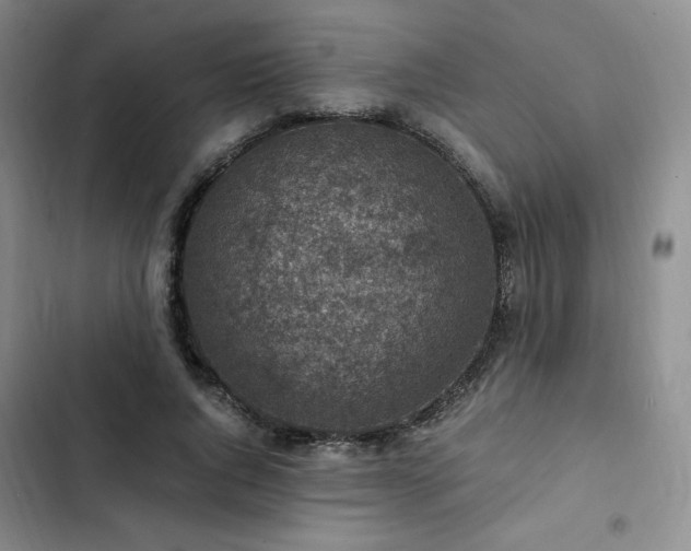 X0000103160736200808221354