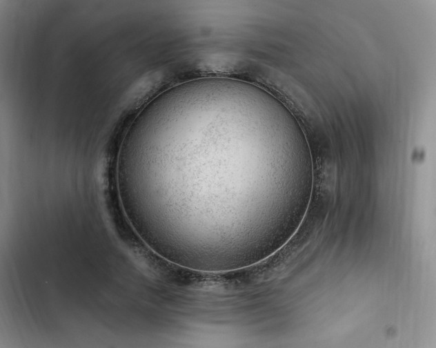 X0000103160738200808221354