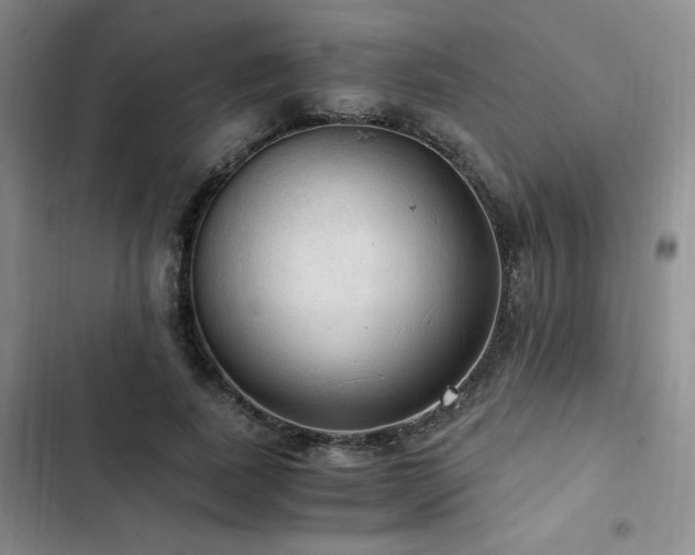 X0000103160739200808221354