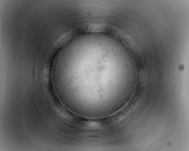 X0000103160741200808221354