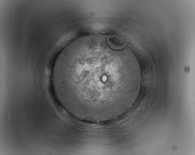X0000103160742200808221354
