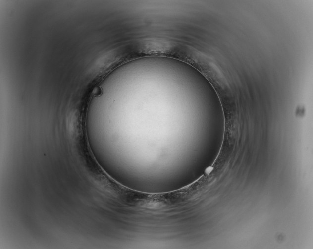 X0000103160743200808221354