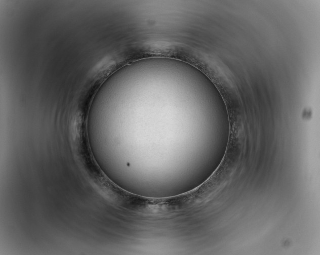 X0000103160744200808221354