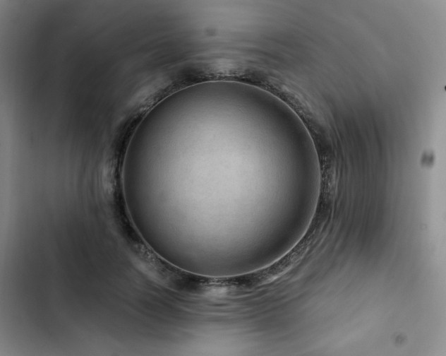 X0000103160746200808221354