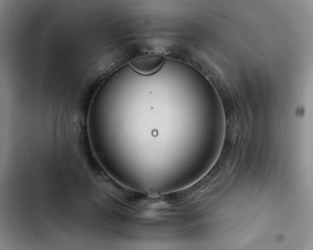 X0000103160747200808221354