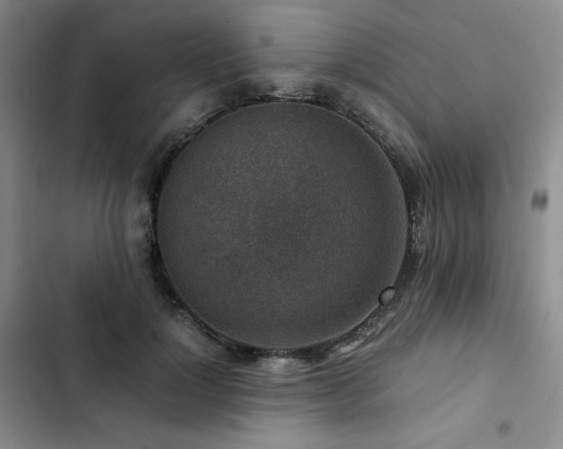 X0000103160748200808221354