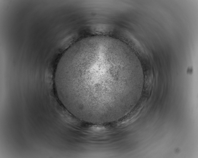 X0000103160749200808221354
